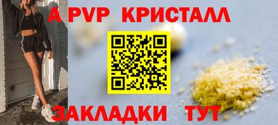 крисы Ливны