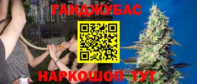 крисы Ливны
