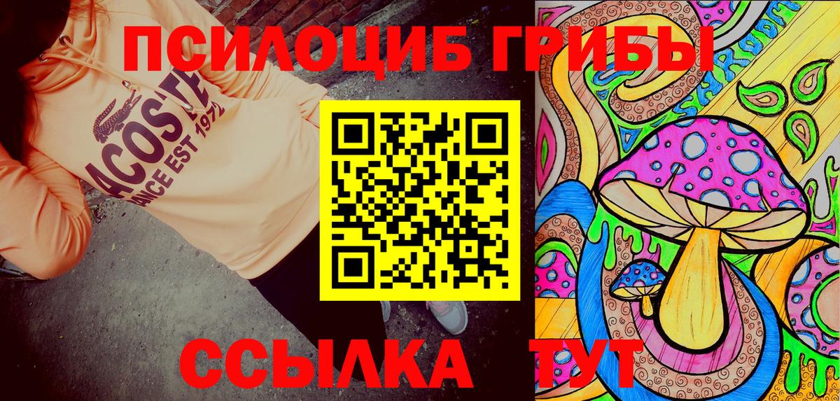 Гай  Галлюциногенные грибы Psilocybe  Вход с VPN  Псилоцибиновые грибы Psilocybe 